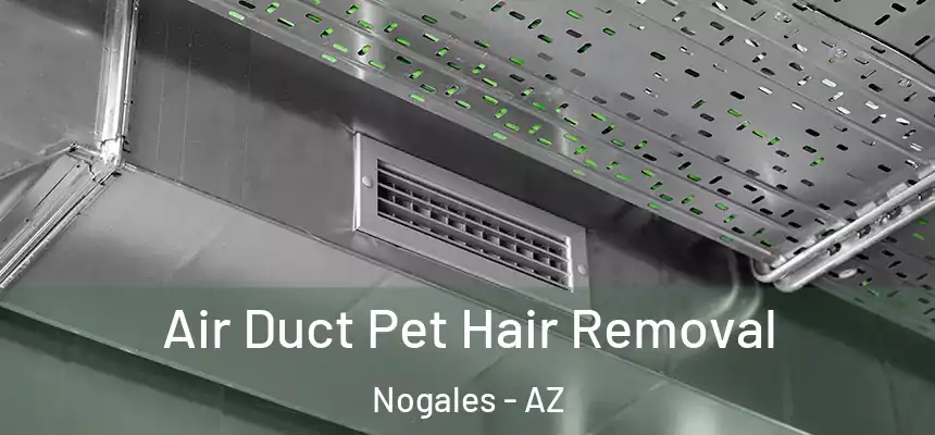 Air Duct Pet Hair Removal Nogales - AZ