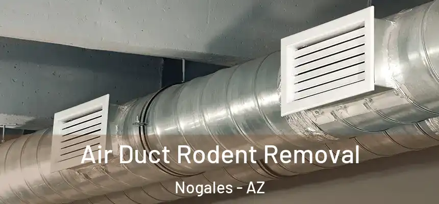  Air Duct Rodent Removal Nogales - AZ
