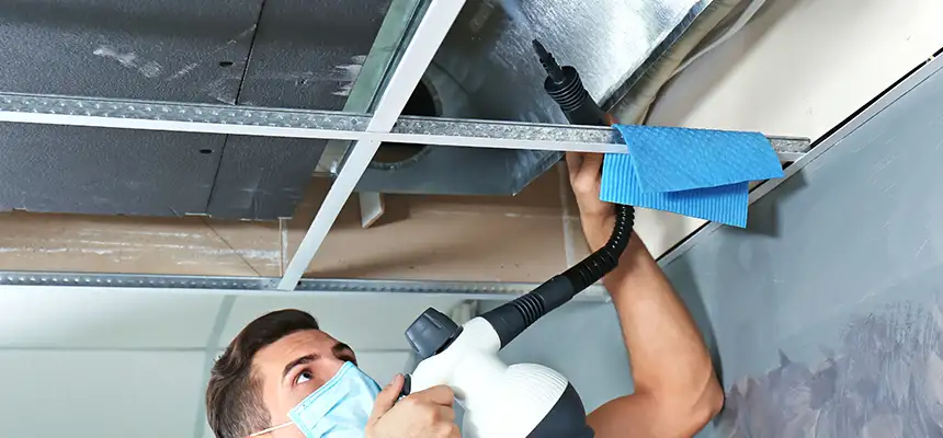 Our Air Duct Rodent Removal Services in Nogales, AZ