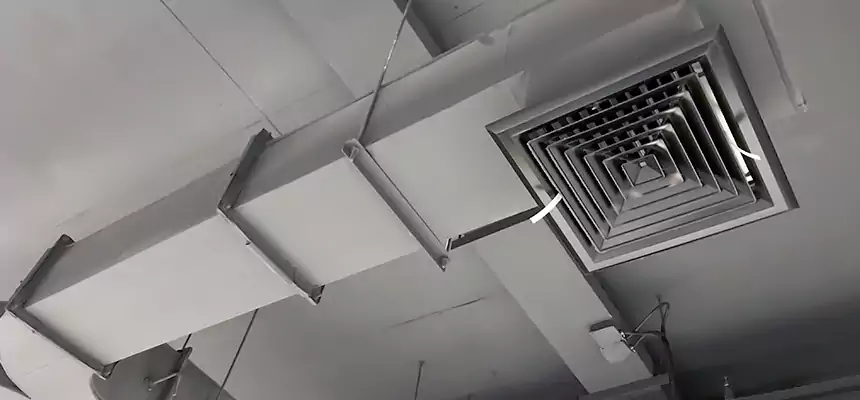 Restorative Allergy Relief Vent Cleaning – Coil, Blower & Housing Detail in Nogales