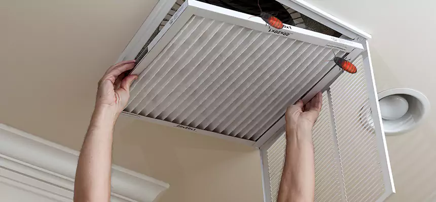 Our Insect Removal from Air Ducts Services in Nogales, AZ