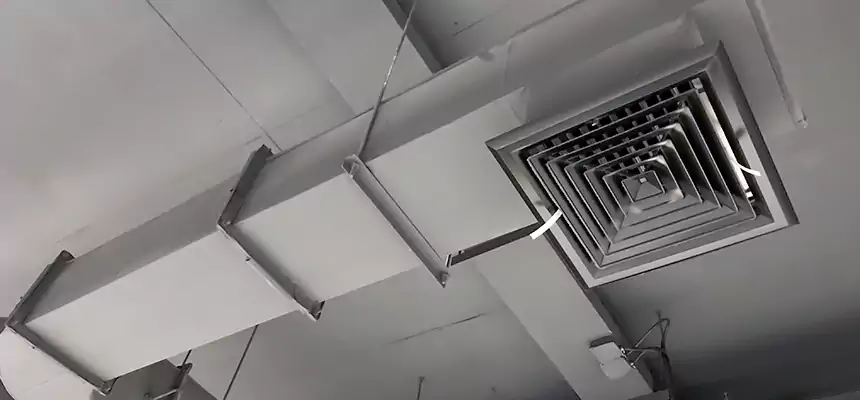 Our Pest Removal From Ducts Services in Nogales, AZ