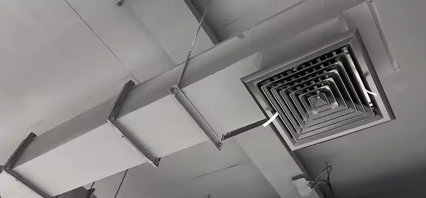 Our Rodent Droppings In Vents Services in Nogales, AZ