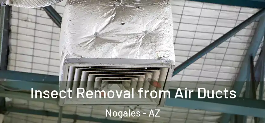  Insect Removal from Air Ducts Nogales - AZ