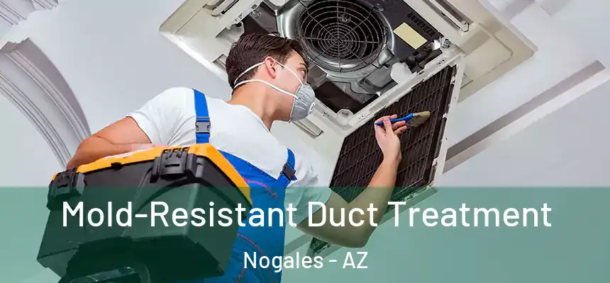 Mold-Resistant Duct Treatment Nogales - AZ
