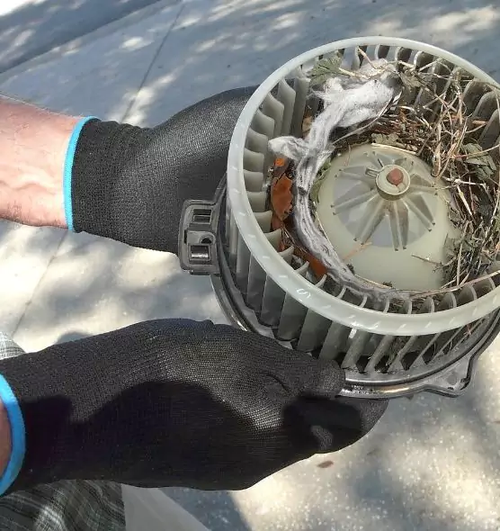 About Air Duct Rat Removal in Nogales, AZ