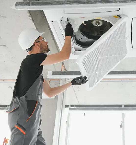 About Air Duct Rodent Removal in Nogales, AZ