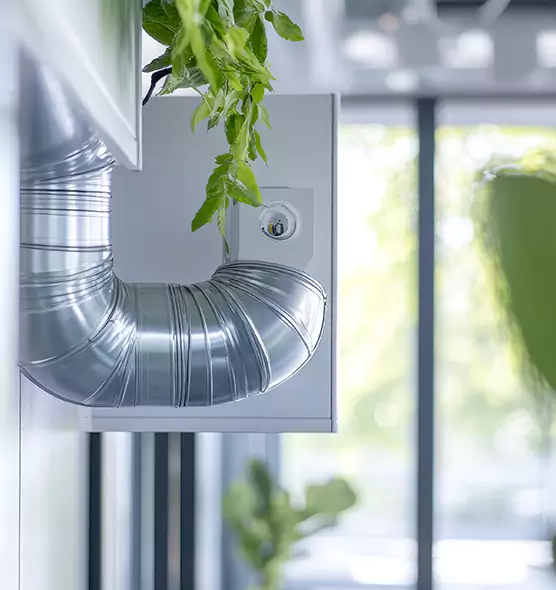 Professional Eco-Safe Dryer Vent Cleaning in Nogales, AZ