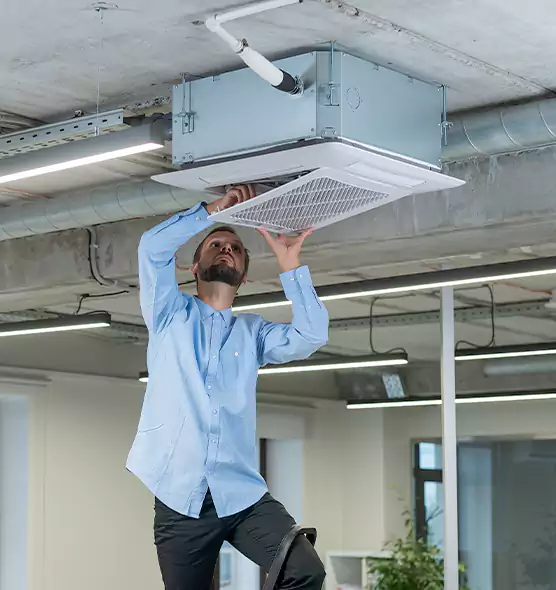 Advanced Rodent Droppings In Vents in Nogales, AZ