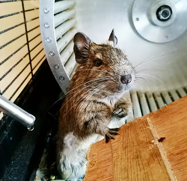 Why Homeowners & Businesses Trust Us Nogales, AZ?