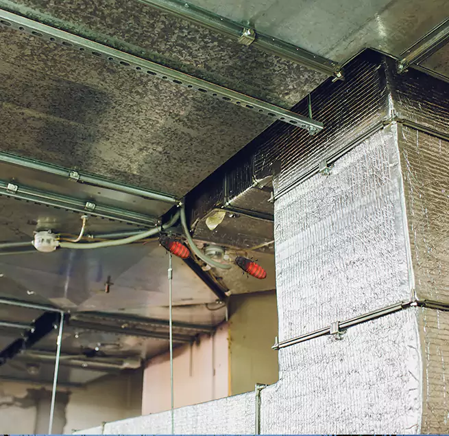 Why Homeowners & Businesses Trust Us Nogales, AZ?